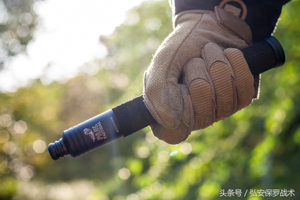 弘安保罗12寸机械棍全钢,纳丽德和弘安保罗机械棍哪个好