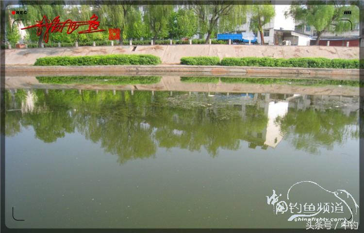 陪伴孩子的野餐,周末家庭式野餐陪伴家人