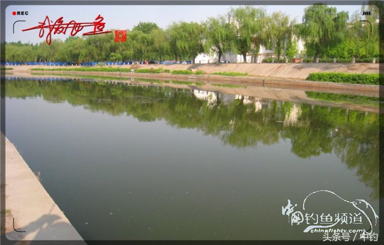 陪伴孩子的野餐,周末家庭式野餐陪伴家人