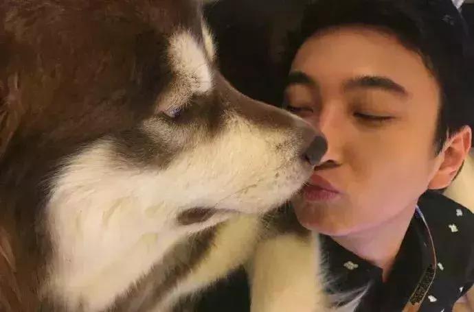 coco王思聪,王思聪名媛女友