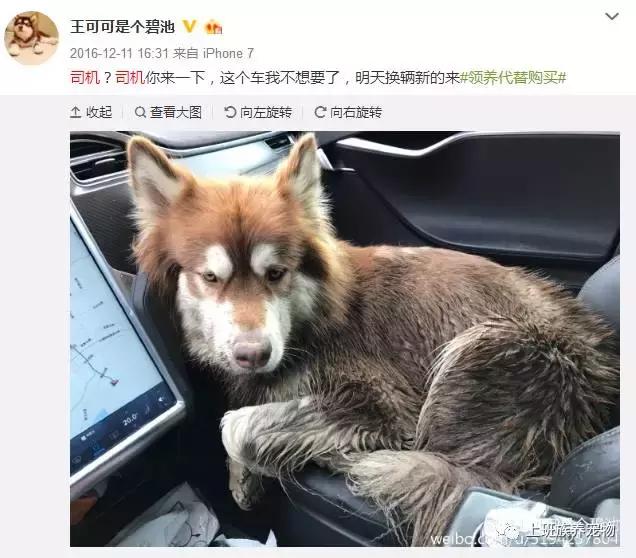 王思聪名媛女友,coco王思聪在一起过吗