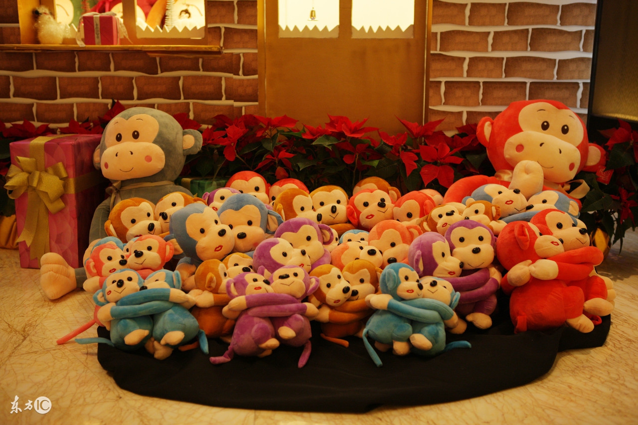 幼儿园感恩节活动策划及活动方案,幼儿园感恩节活动方案和总结