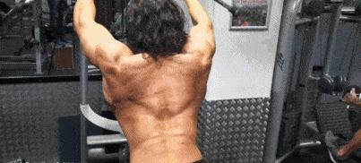 7个动作重复420次，蝙蝠背比麒麟臂酷得多！