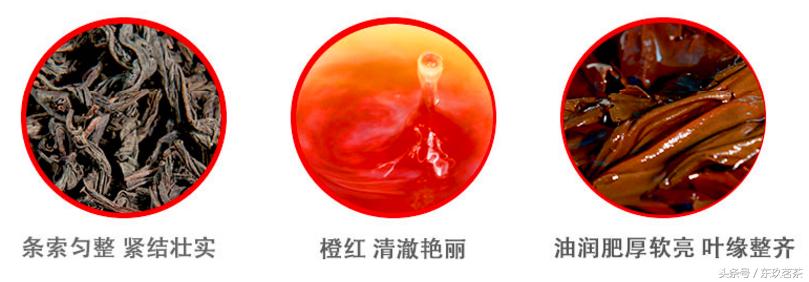 锡兰红茶高地茶和低地茶哪种好,三大红茶锡兰红茶