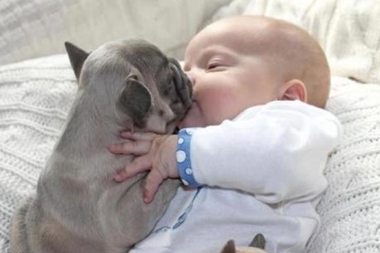 2017五行缺木的男孩名字,2017鸡年六月出生男孩名字