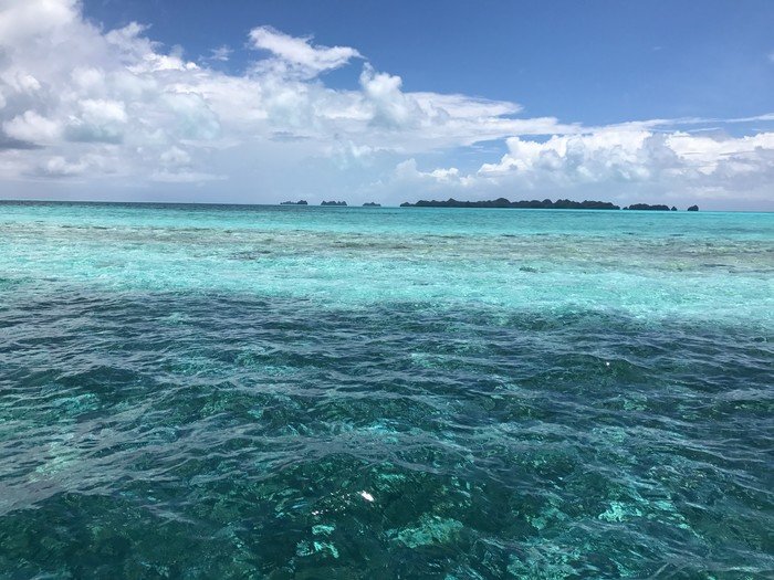 帕劳旅行全攻略,帕劳旅行攻略最佳方案