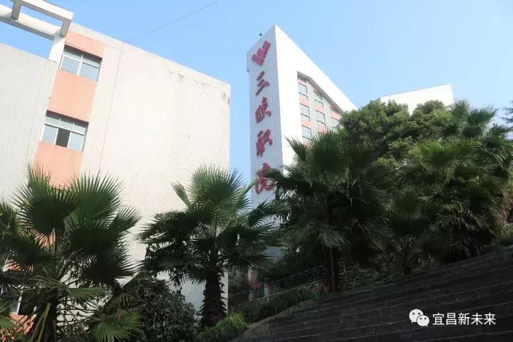 你眼中的三峡是怎么样的,三峡职院有什么专业