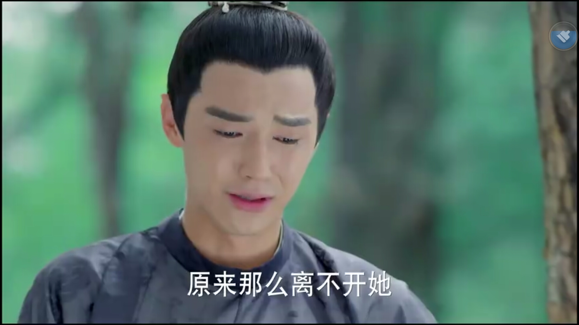 美人制造苏莲衣贺兰钧,美人制造贺兰钧什么时候爱上莲衣