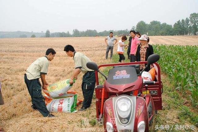 在农村最实用的小生意,当下农村的小生意怎么做