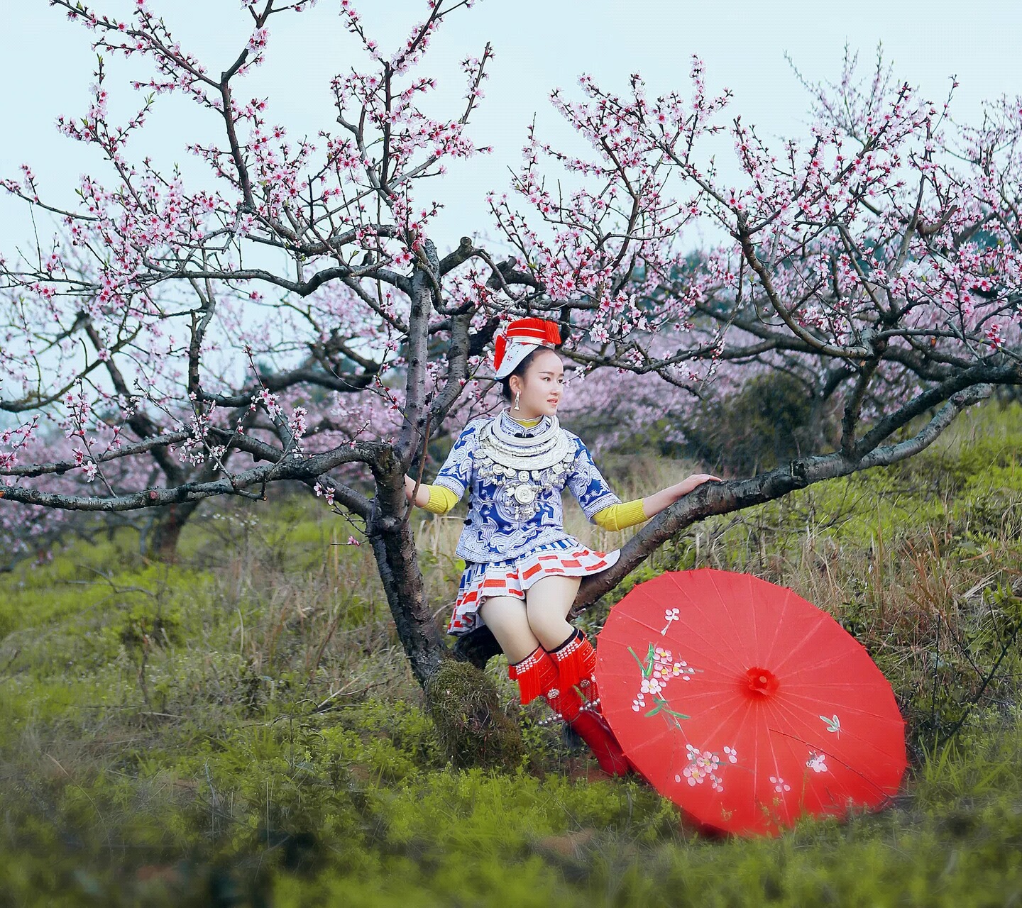 唐七公子和华胥,唐七公子华胥引全文阅读