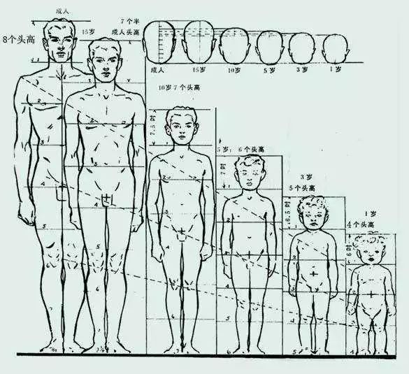 男生什么样的身材显高,腿短男生穿什么显高