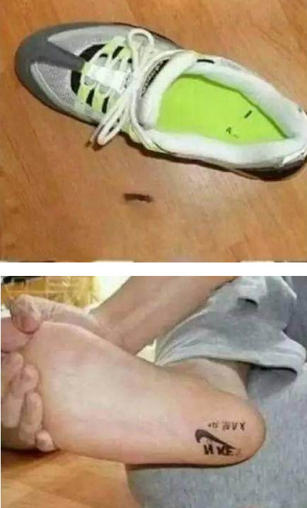 坑人的淘宝买家秀,淘宝奇葩买家卖家秀