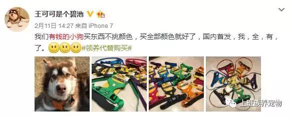 coco王思聪,王思聪名媛女友