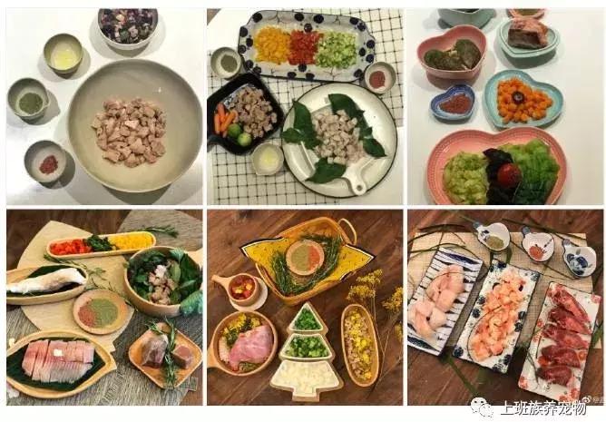 coco王思聪,王思聪名媛女友