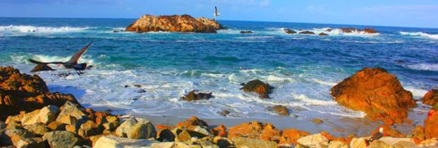 美国西部一号公路、优山美地国家公园、穿越死亡谷12日