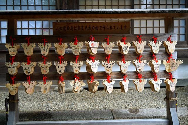 日本关西夏日赏——今夕传媒旅行家出品