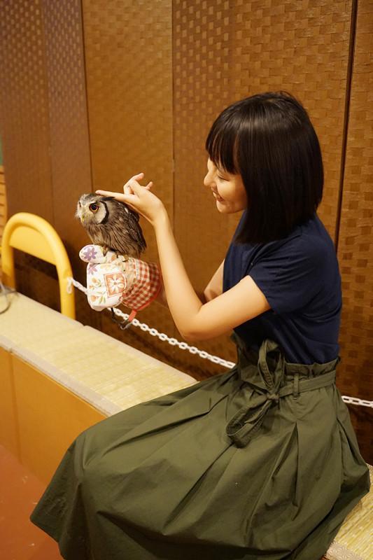 日本关西夏日赏——今夕传媒旅行家出品