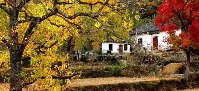 黄陂最穷的地方是哪个地方,黄陂不为人知的地方