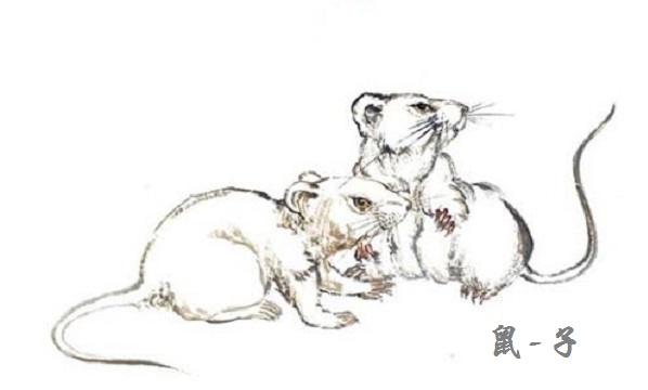 1984年属鼠人今年的运势如何,1984年属鼠的人今年的运势情况