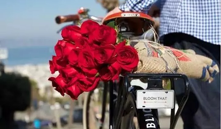 有颜值、有明星、还有600亿市场的鲜花电商，并不是看起来很美？