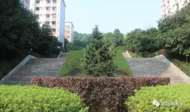 你眼中的三峡是怎么样的,三峡职院有什么专业