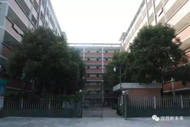 你眼中的三峡是怎么样的,三峡职院有什么专业