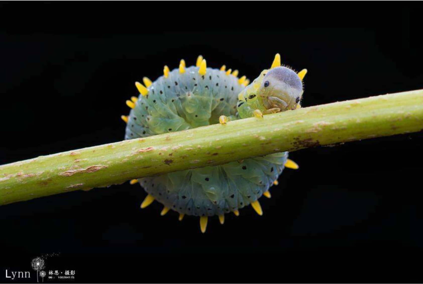 摄影欣赏丨500px摄影社区11月14日精选TOP10