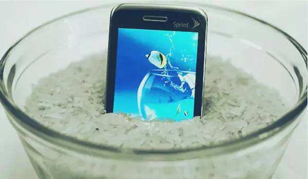 手机掉水里能正常使用就没事了吧,手机掉水里有什么保护措施