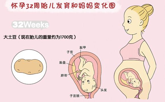 准妈妈必看孕期运动注意事项,孕期宝宝每天长多少算正常