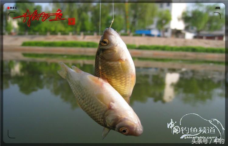 陪伴孩子的野餐,周末家庭式野餐陪伴家人