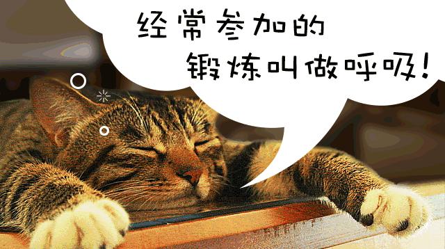 100元美白,100元左右的美白产品