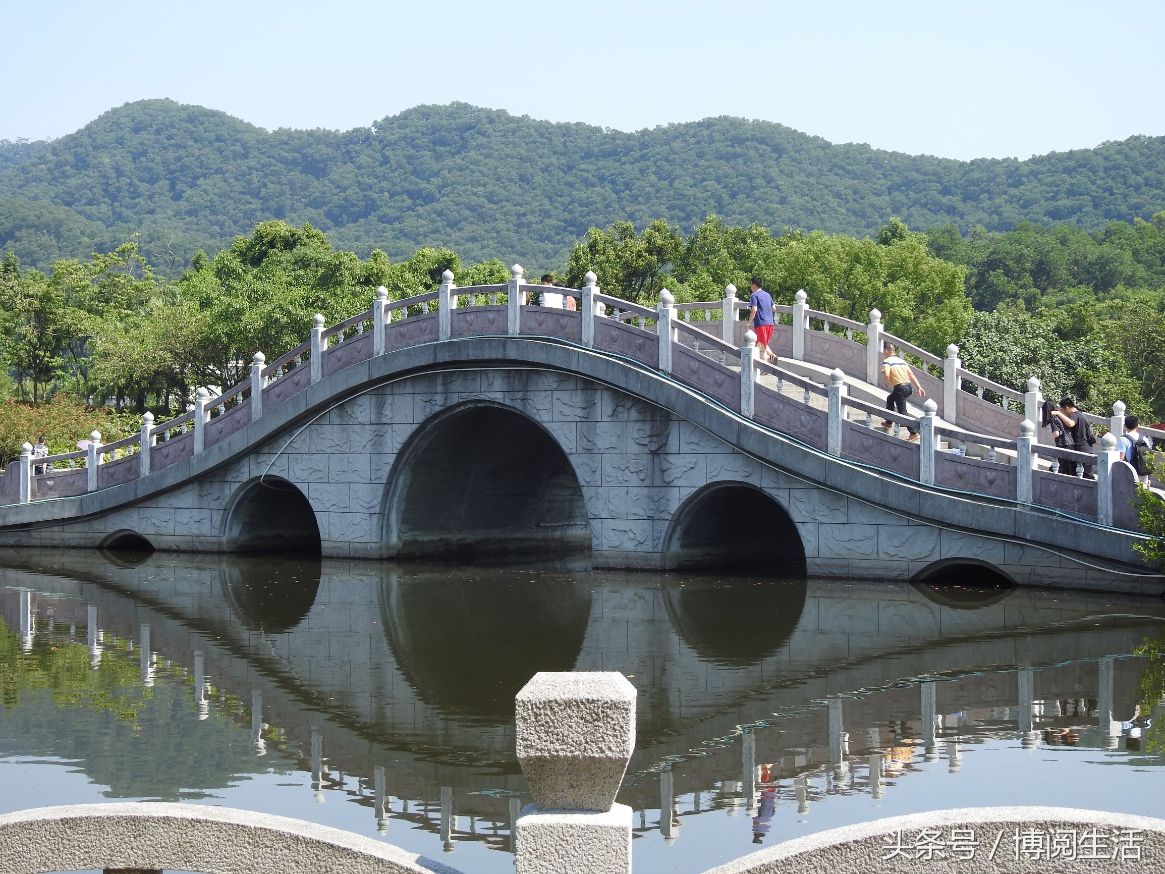 东莞塘厦十大好玩免费景点,东莞塘厦附近的旅游景点推荐