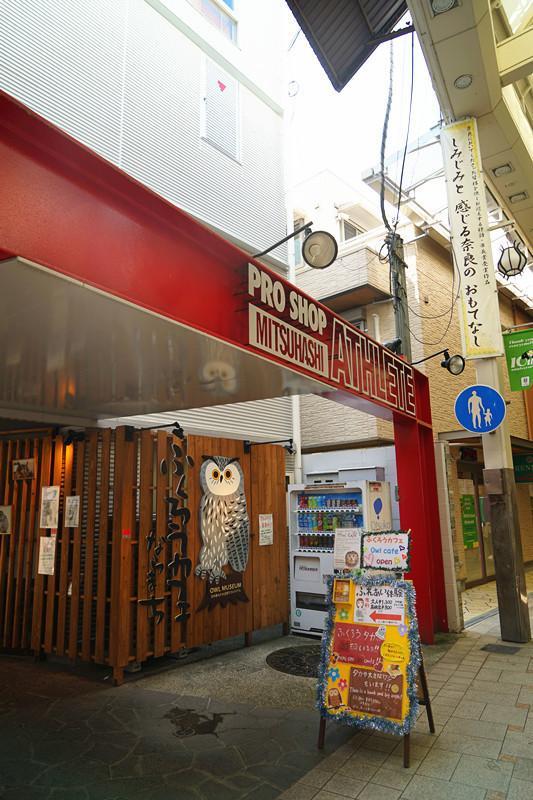 日本关西夏日赏——今夕传媒旅行家出品