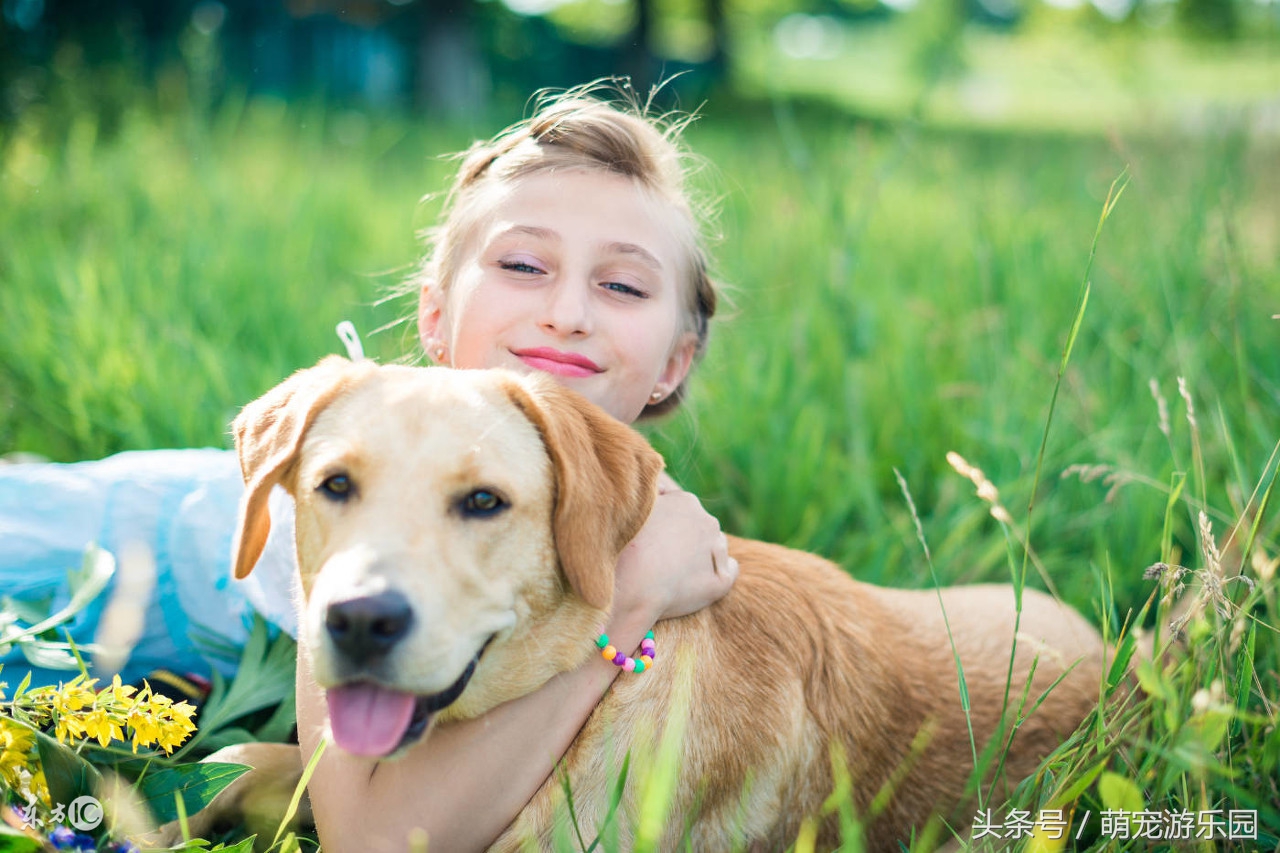 犬疥螨和真菌混合感染性皮肤病