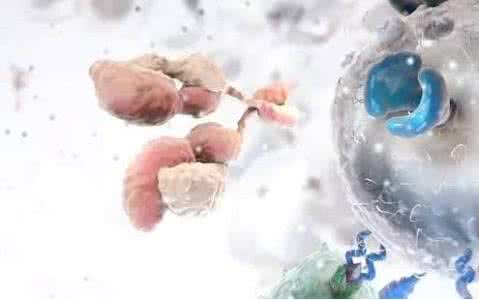 免疫组化pd-l1阴性用什么治疗好,pd-l1免疫组化检测方法及结果判定