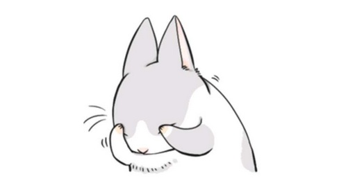 养只兔子做宠物怎么样,养兔子当宠物的注意事项和禁忌