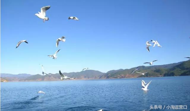 营口最美的风景,营口最美十大旅游景区