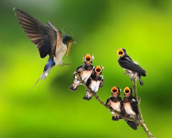 余生要和爱的人在一起文本,余生要和爱的人在一起图片