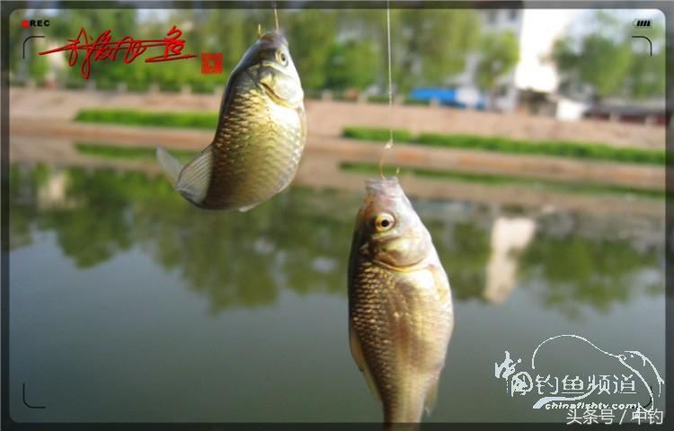 陪伴孩子的野餐,周末家庭式野餐陪伴家人