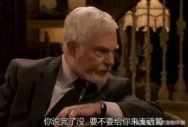 疯狂小狗牌子狗粮属于啥档次,疯狂的小狗和凯锐思哪个狗粮好