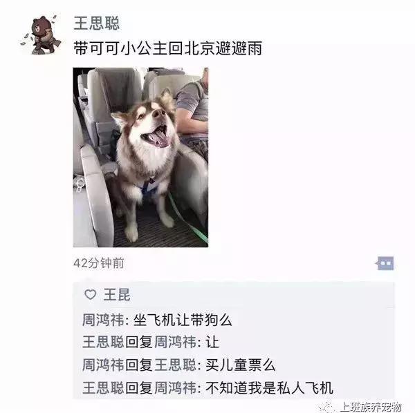 coco王思聪,王思聪名媛女友