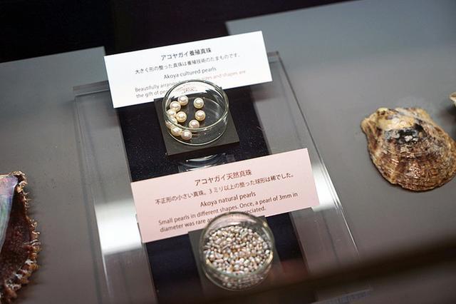 日本关西夏日赏——今夕传媒旅行家出品