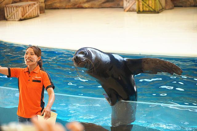 日本关西夏日赏——今夕传媒旅行家出品