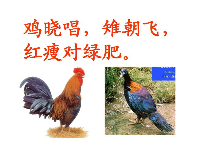 笠翁对韵上下卷全文朗读视频,笠翁对韵上下卷朗诵