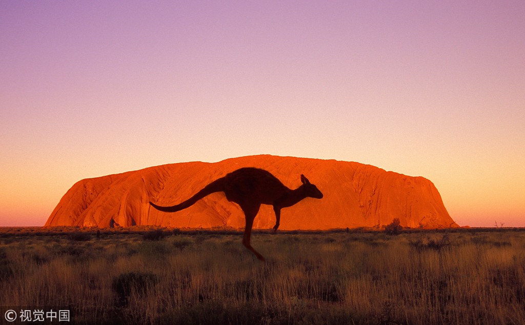 适合一个人旅行的国家不需要签证,实用贴收藏价值