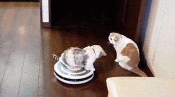 扫地机器人真的靠谱吗？今天小编就来测试下，结果令人汗颜……