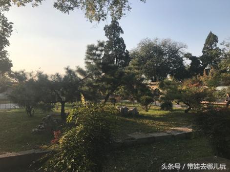 我印象最深的一次出游曲阜,难忘的旅行去曲阜