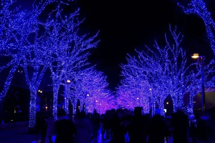 元旦｜做一个现代白领在「日本新年」来临前的谜之淡定