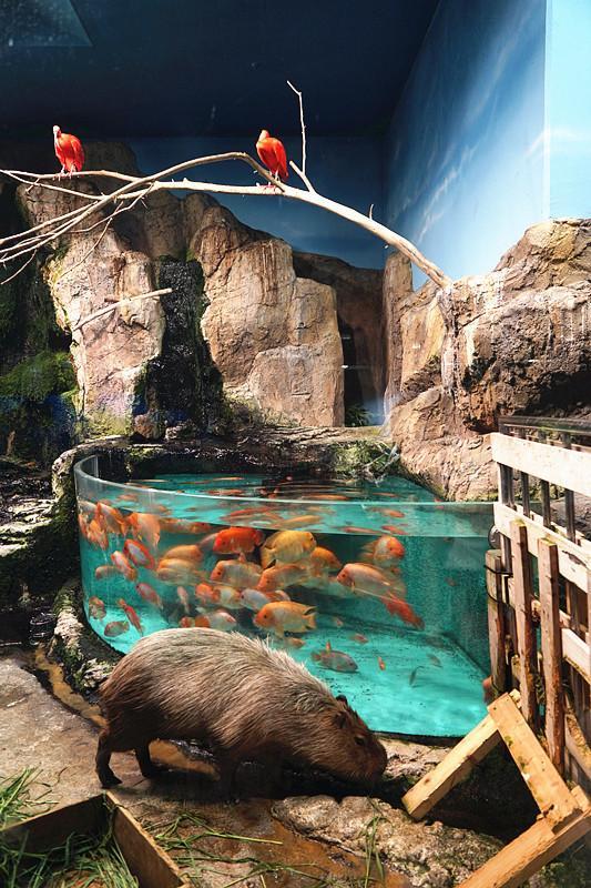 日本关西夏日赏——今夕传媒旅行家出品