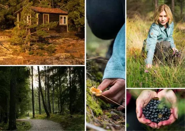 瑞典徒步攻略,徒步瑞典雪原帐篷